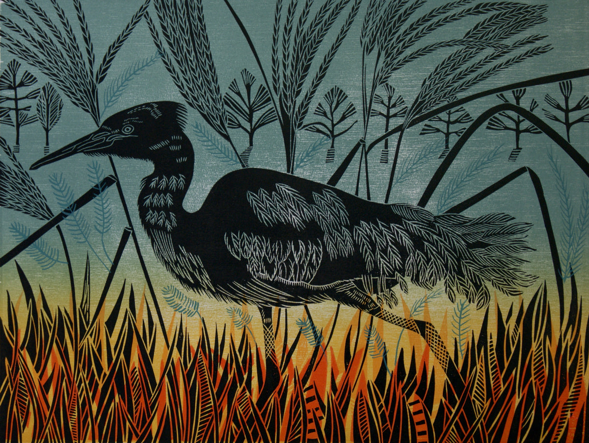 'Winter Evening Egret' unframed print