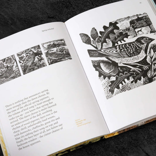 Spring Unfurled - A Printmakers View