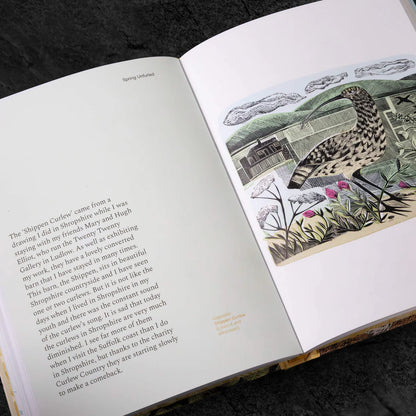 Spring Unfurled - A Printmakers View