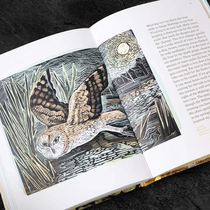 Spring Unfurled - A Printmakers View