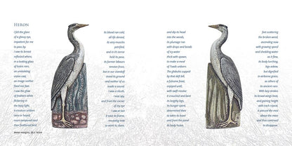 'Both Sides' Book