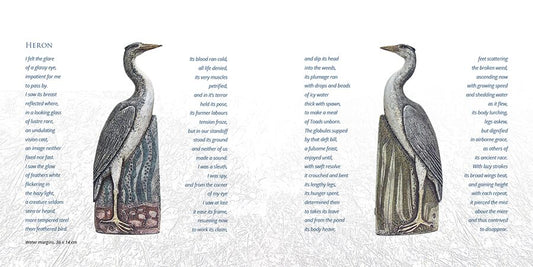 'Both Sides' Book