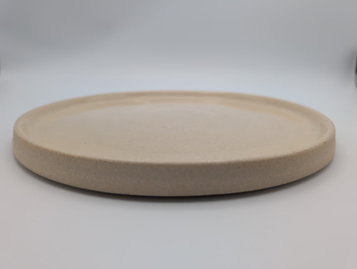 White dinner plates