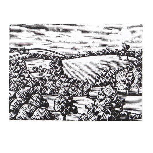 'Devon Study 2022' Print