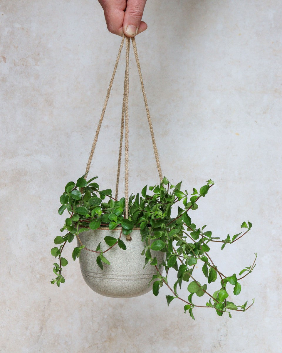 Hanging planter