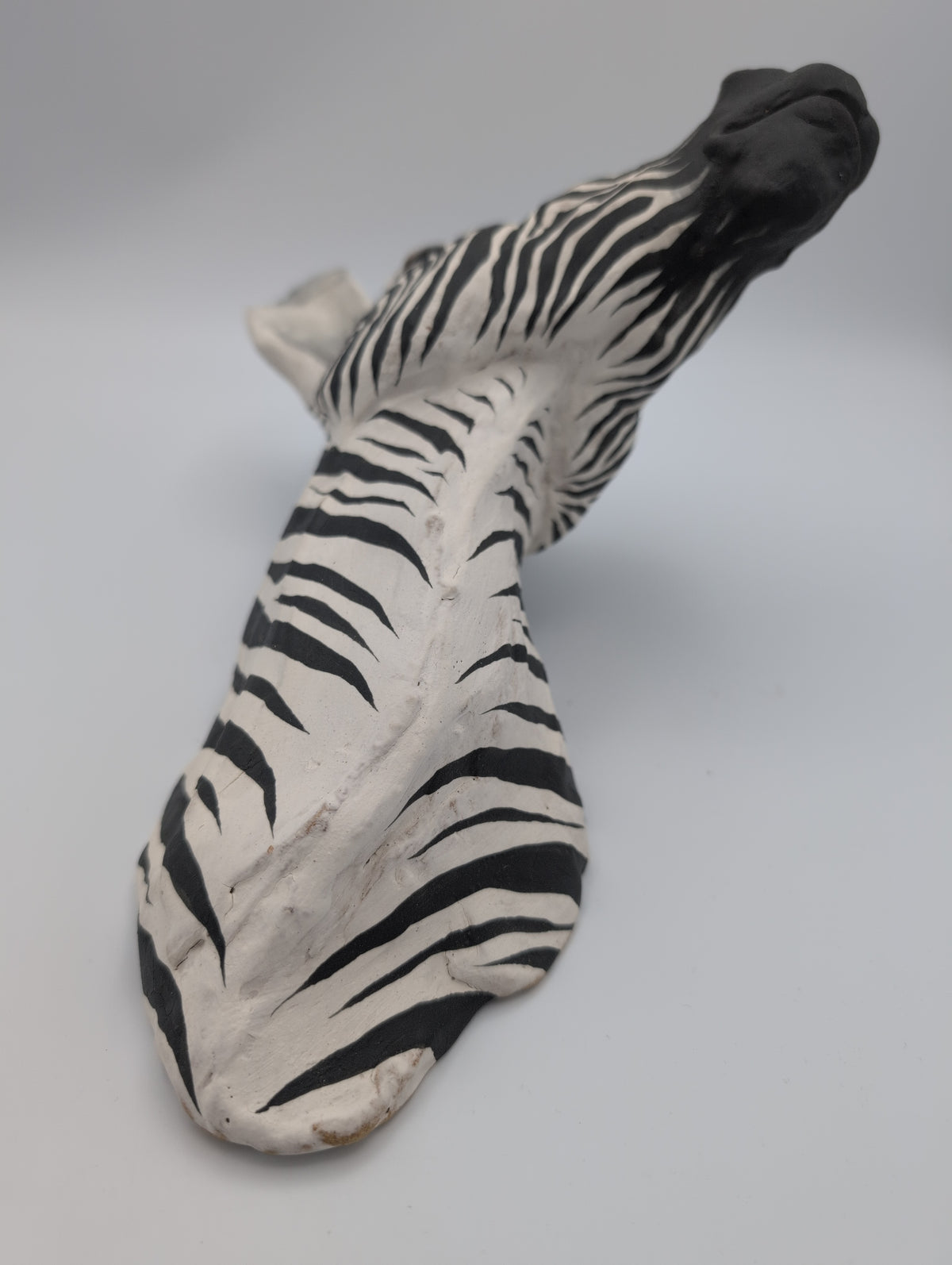 Zebra Head 1