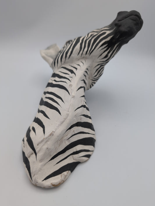 Zebra Head 1