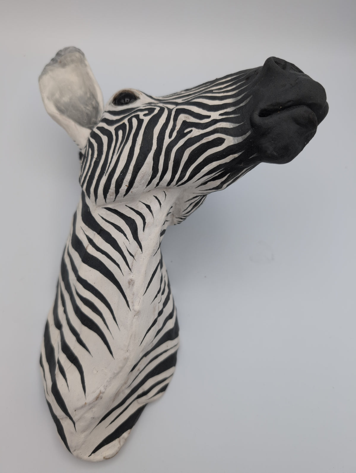 Zebra Head 1