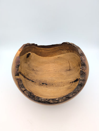 Large Oak Display Bowl