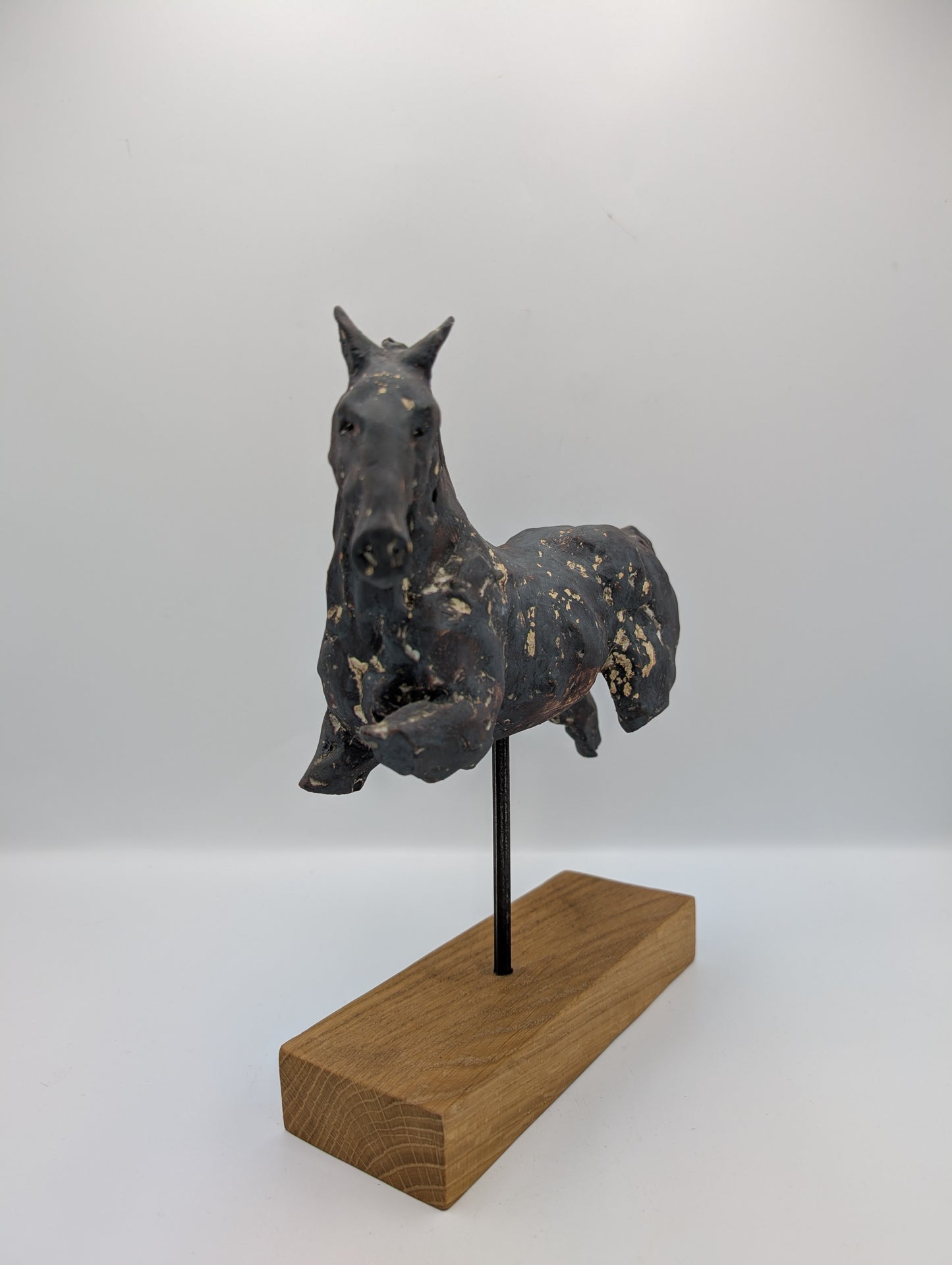 Horse #5