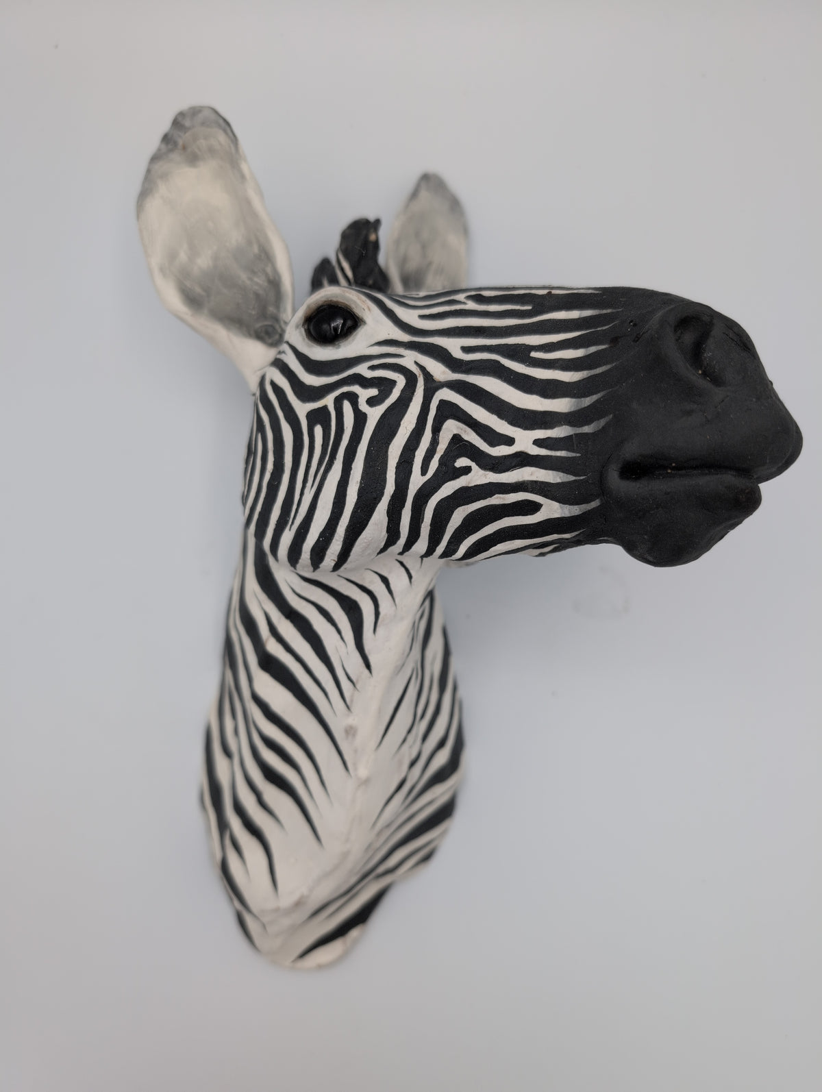 Zebra Head 1