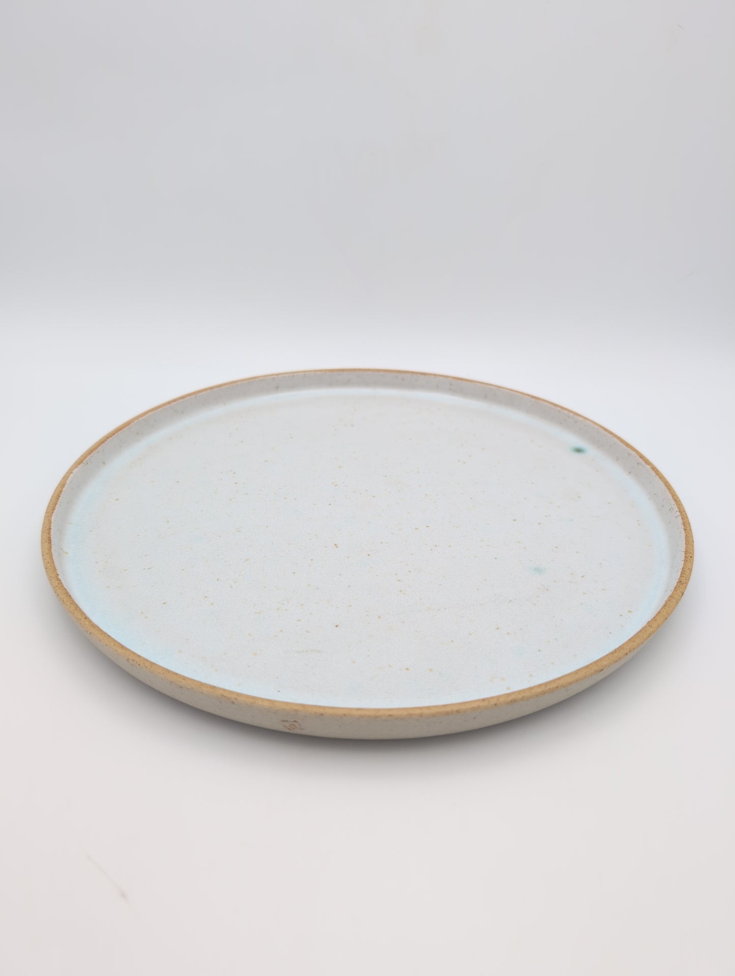 Ceramic Dinner Plate