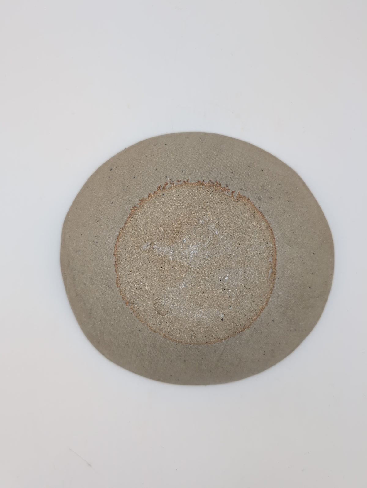 Oystercatcher Plate