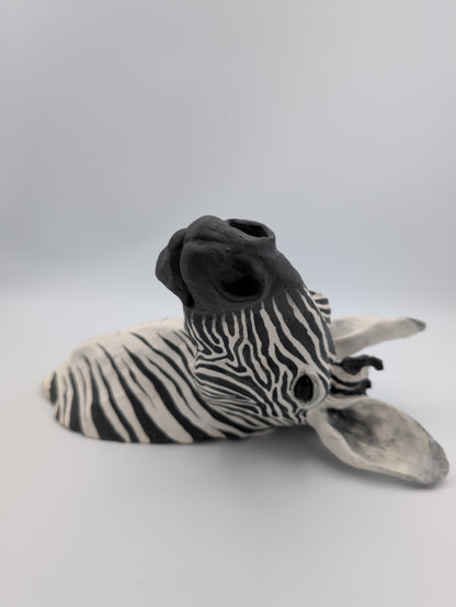 Zebra Head 1