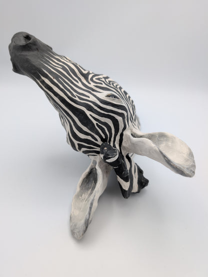 Zebra Head 1