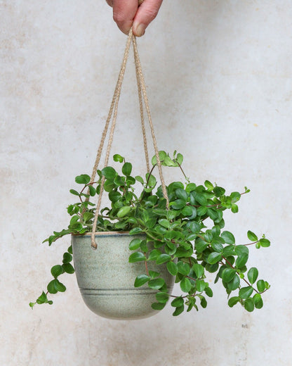 Hanging planter