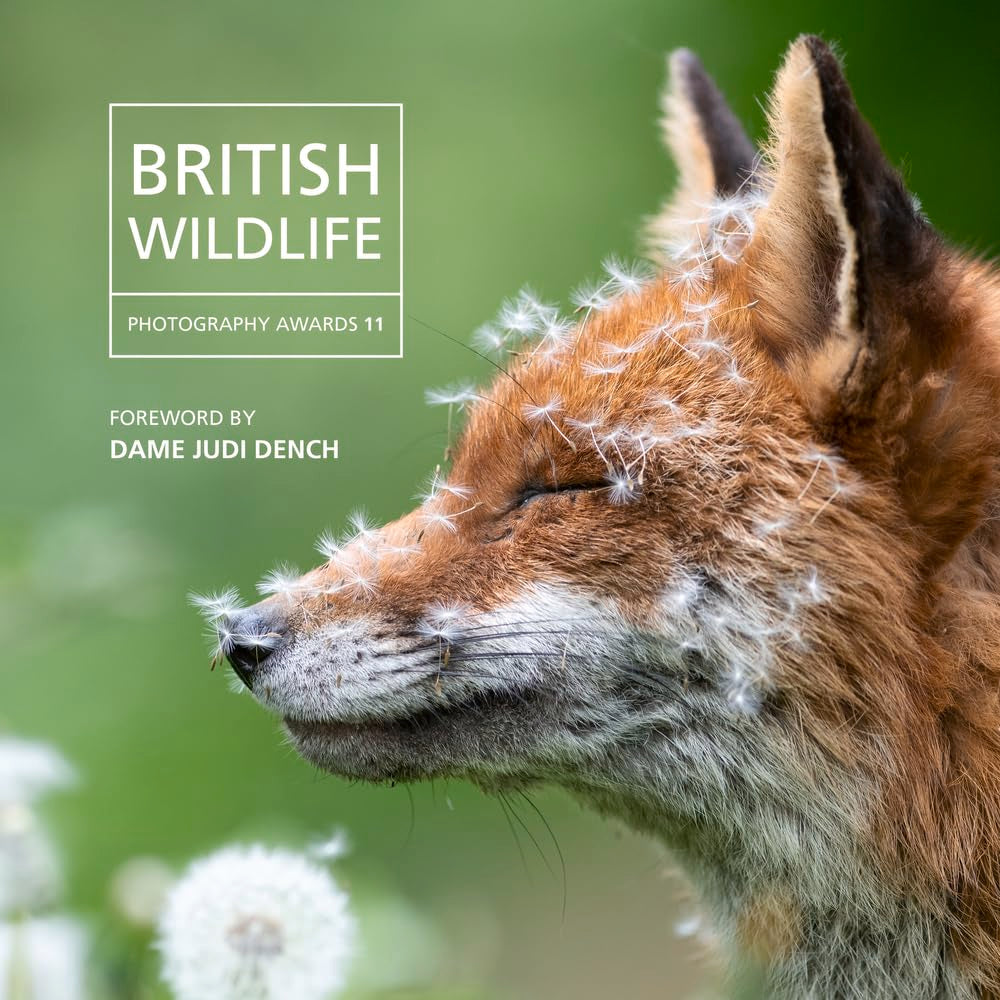 British Wildlife Photography Awards 11 by Will Nichols